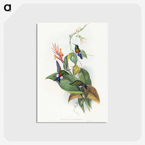1-16_John-Gould_postcard