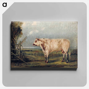 アートパネル-A Young Bull
 - ジョン ジェームス オーデュボン Canvas.