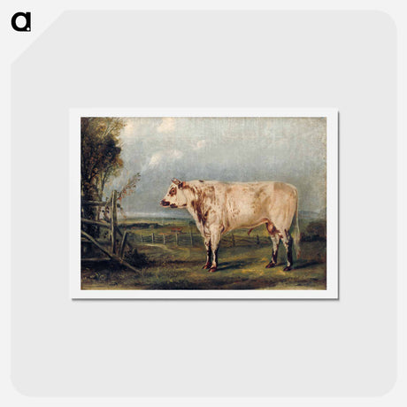 アートポストカード-A Young Bull
 - ジョン ジェームス オーデュボン Postcard.