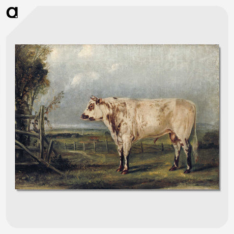 1-16_John-James-Audubon_picture-crop