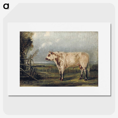 1-16_John-James-Audubon_picture