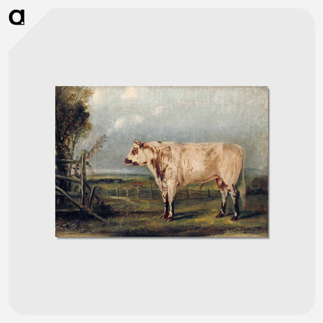 アートポストカード-A Young Bull
 - ジョン ジェームス オーデュボン Postcard.