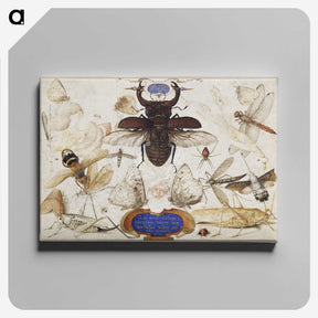 1-16_Joris-Hoefnagel_canvas