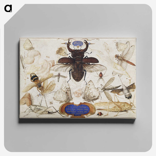 1-16_Joris-Hoefnagel_canvas