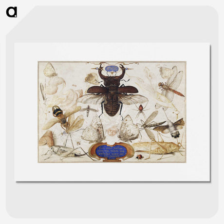 1-16_Joris-Hoefnagel_picture