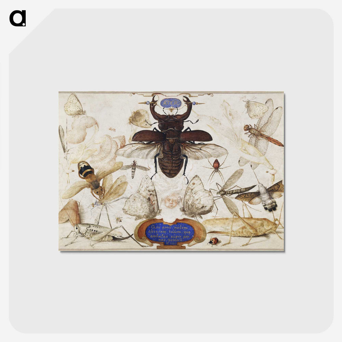 1-16_Joris-Hoefnagel_postcard