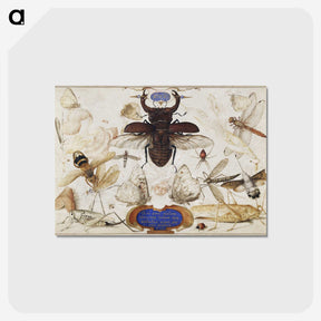 1-16_Joris-Hoefnagel_postcard