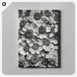 1-16_Karl-Blossfeldt_canvas