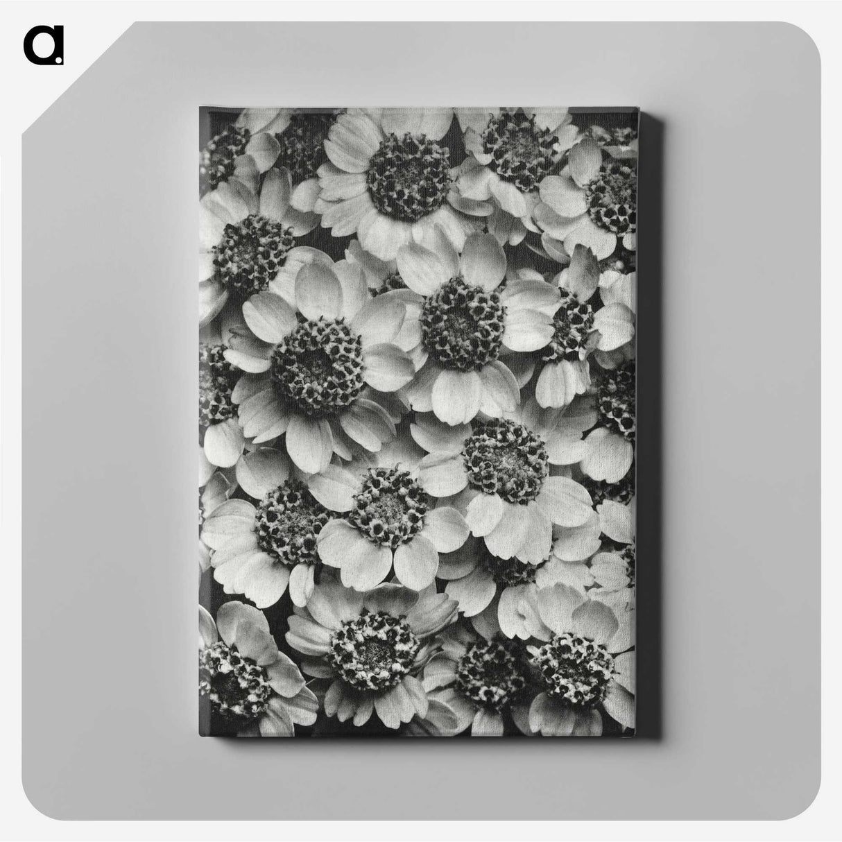 1-16_Karl-Blossfeldt_canvas