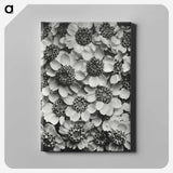 1-16_Karl-Blossfeldt_canvas