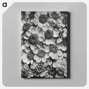 1-16_Karl-Blossfeldt_canvas