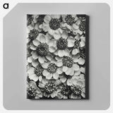 アートパネル-Achillea Clypeolata - カール ブロスフェルト Canvas.