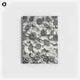 1-16_Karl-Blossfeldt_memo