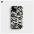 1-16_Karl-Blossfeldt_phone