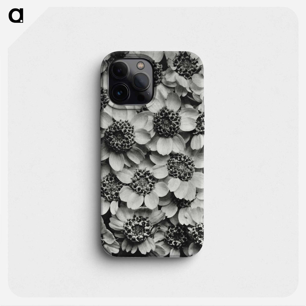 Achillea Clypeolata - カール ブロスフェルト Phone Case.