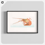 Japanese lobster from Album of Sketches by Katsushika Hokusai and His Disciples - 葛飾 北斎 Poster.