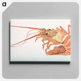 Japanese lobster from Album of Sketches by Katsushika Hokusai and His Disciples - 葛飾 北斎 Canvas.