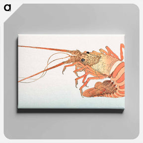 アートパネル-Japanese lobster from Album of Sketches by Katsushika Hokusai and His Disciples - 葛飾 北斎 Canvas.
