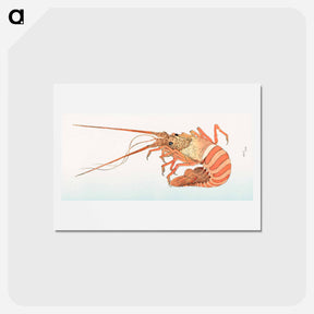 アートポストカード-Japanese lobster from Album of Sketches by Katsushika Hokusai and His Disciples - 葛飾 北斎 Postcard.