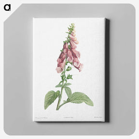 1-16_La-Botanique_canvas