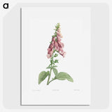1-16_La-Botanique_picture
