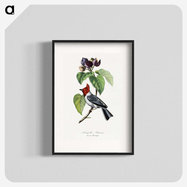 1-16_Le-Jardin-des-Plantes_blk