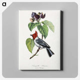 1-16_Le-Jardin-des-Plantes_canvas