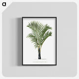1-16_Les-Palmiers-Histoire-Iconographique_blk-crop