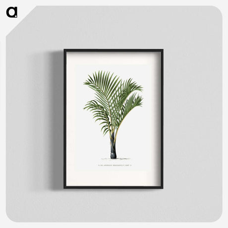 1-16_Les-Palmiers-Histoire-Iconographique_blk