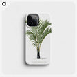 1-16_Les-Palmiers-Histoire-Iconographique_phone