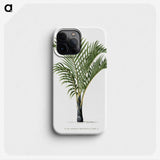 1-16_Les-Palmiers-Histoire-Iconographique_phone