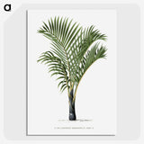 1-16_Les-Palmiers-Histoire-Iconographique_picture-crop