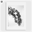 1-16_Leslie-Adkin_picture