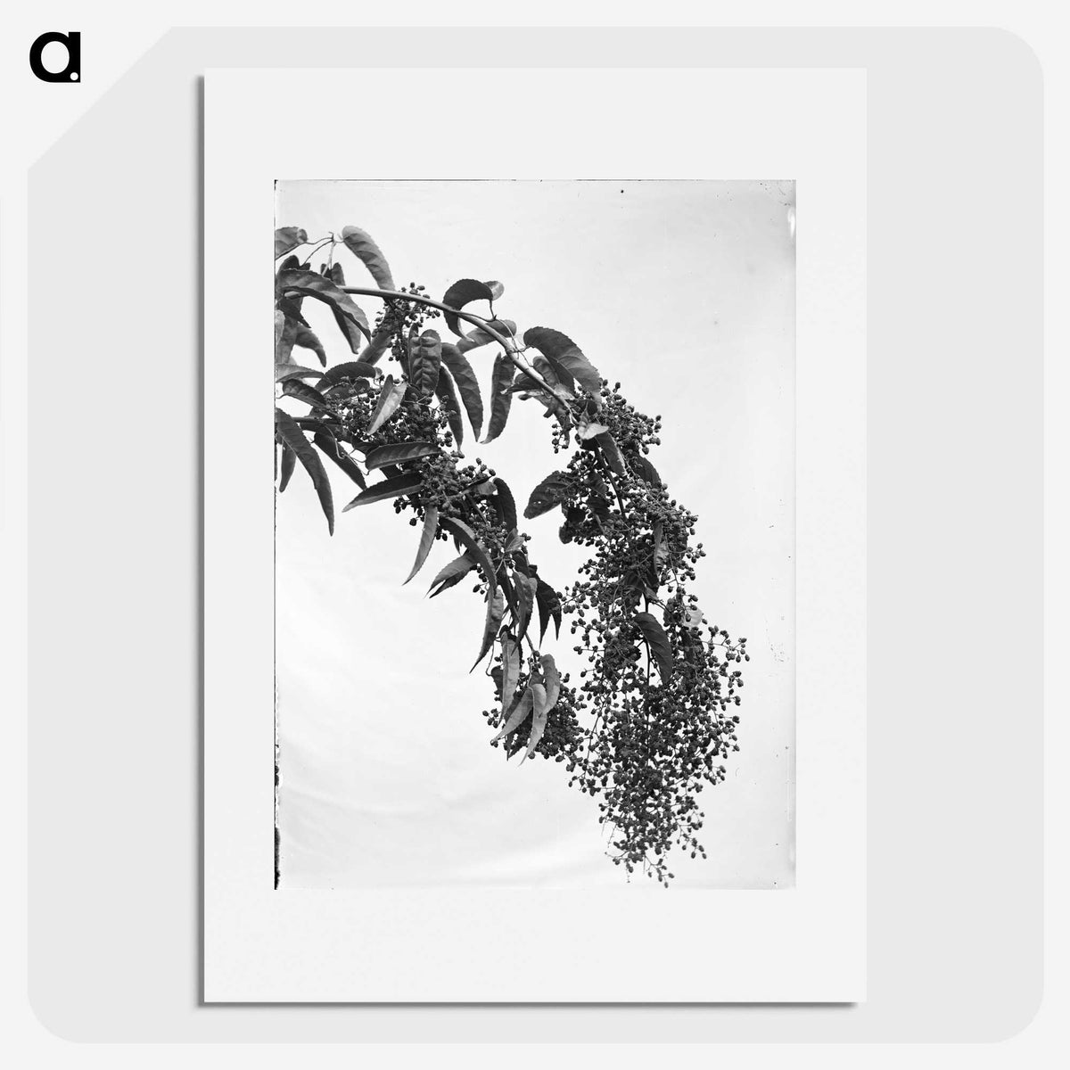 1-16_Leslie-Adkin_picture