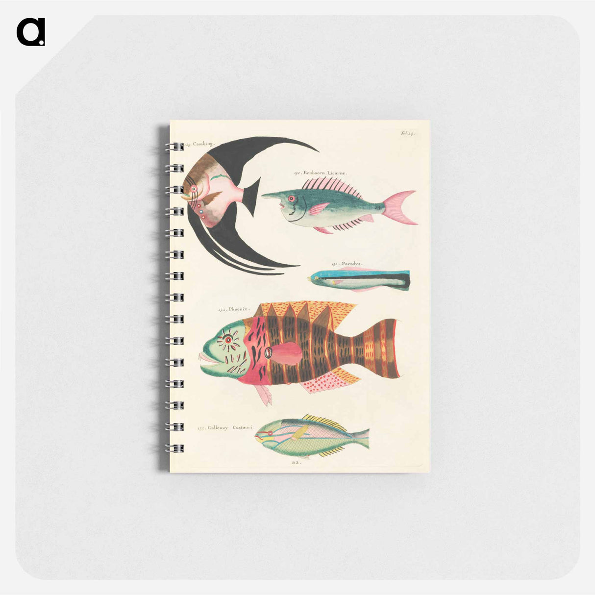 Moluccan Fishes
 - ルイ ルナール Memo.