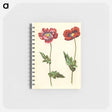 アートメモ帳-Papaver somniferum
 - マリア ジビーラ メーリアン Memo.