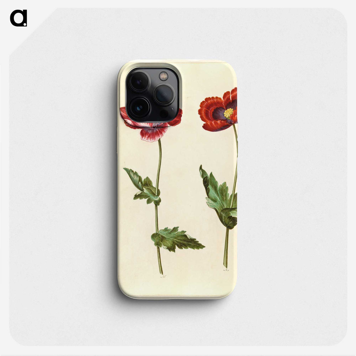 1-16_Maria-Sibylla-Merian_phone