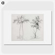 1-16_Mary-Altha-Nims_picture