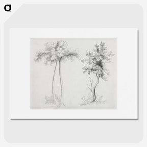 1-16_Mary-Altha-Nims_picture