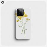 1-16_Mary-Vaux-Walcott_phone