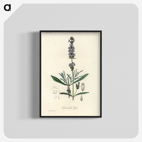 1-16_Medical-Botany_blk-crop