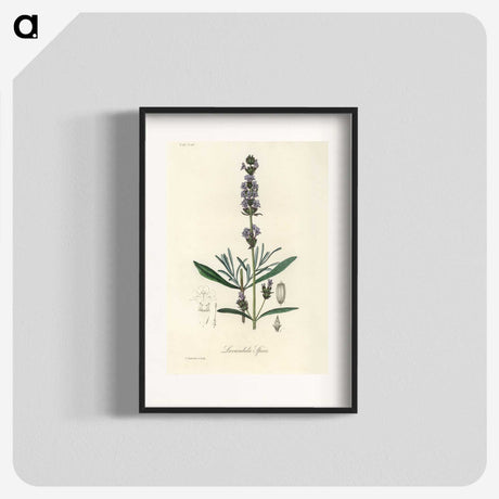 1-16_Medical-Botany_blk