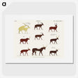 1-16_Monuments-of-Egypt-and-Nubia_picture