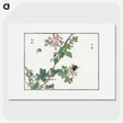 1-16_Morimoto-Tokaku_picture