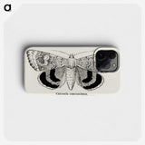 1-16_Moths-and-Butterflies-of-the-United-States_phone