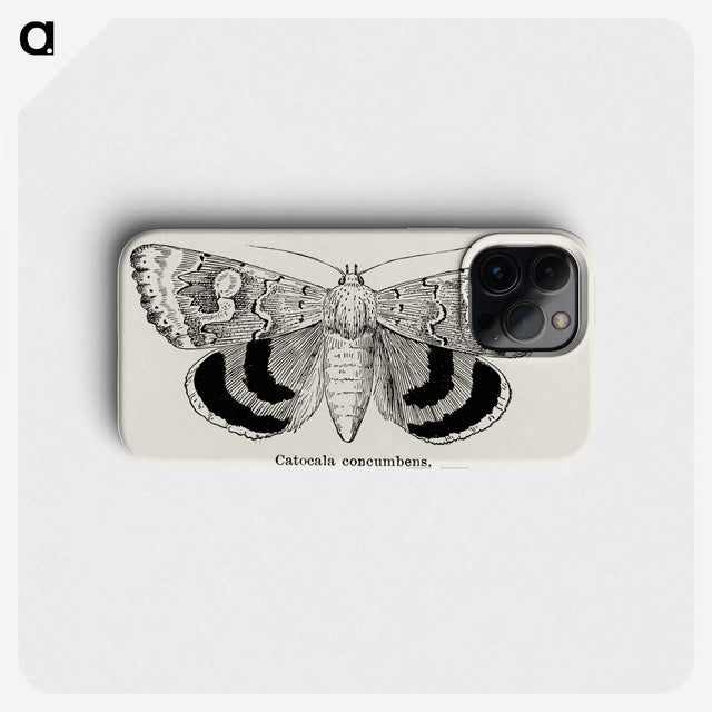 1-16_Moths-and-Butterflies-of-the-United-States_phone