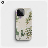 1-16_Native-Flowering-Plants-of-New-Zealand_phone
