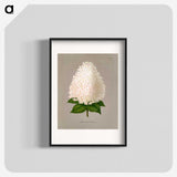 1-16_Nederlandsche-Flora-en-Pomona_blk