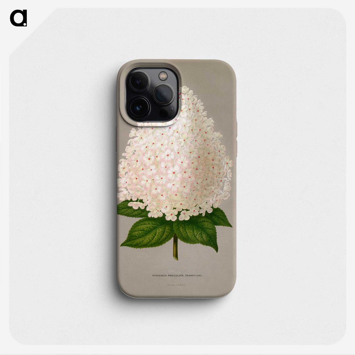 1-16_Nederlandsche-Flora-en-Pomona_phone