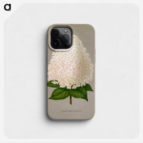 1-16_Nederlandsche-Flora-en-Pomona_phone